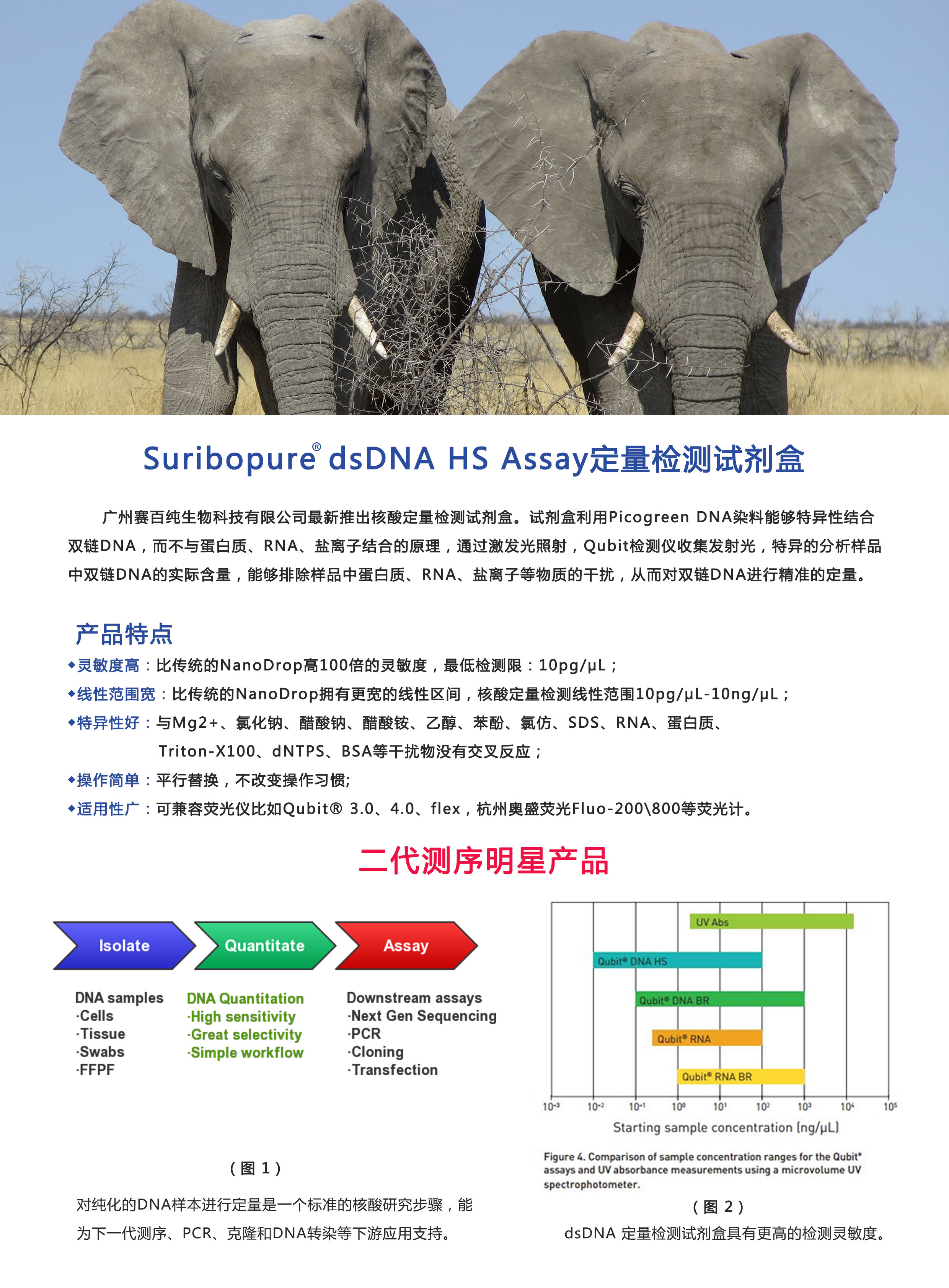 1732590504502094.jpg 試劑盒單頁正面11.jpg